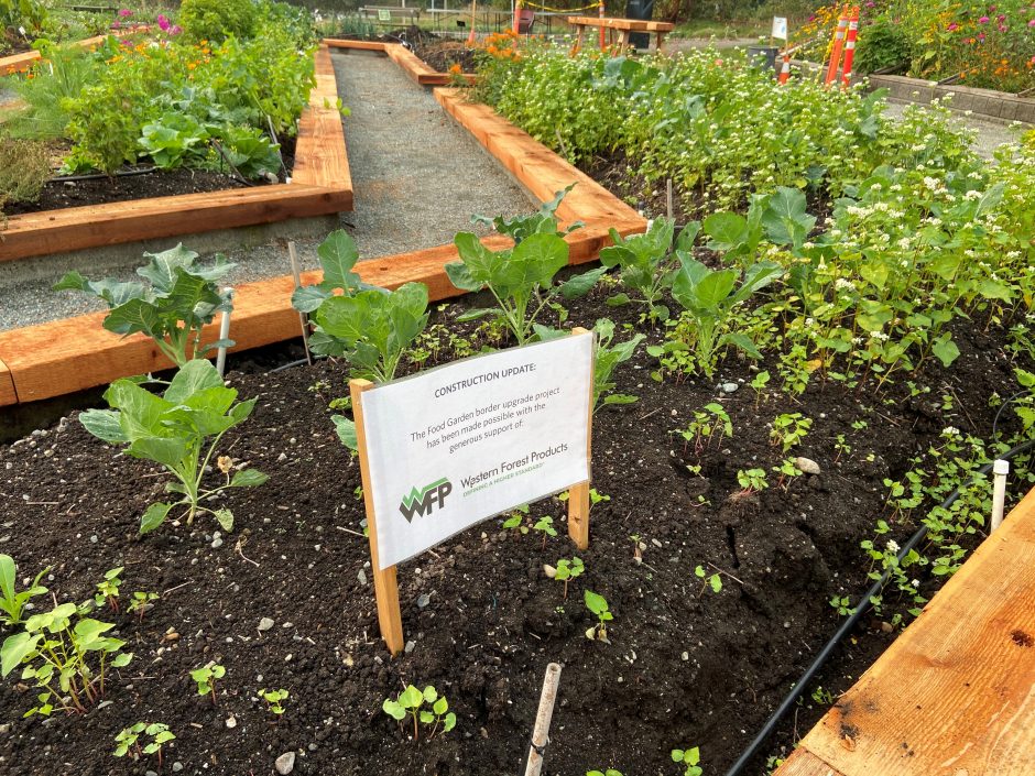 UBC Botanical Food Garden with freshly completed borders for raised beds and thank you signage. 