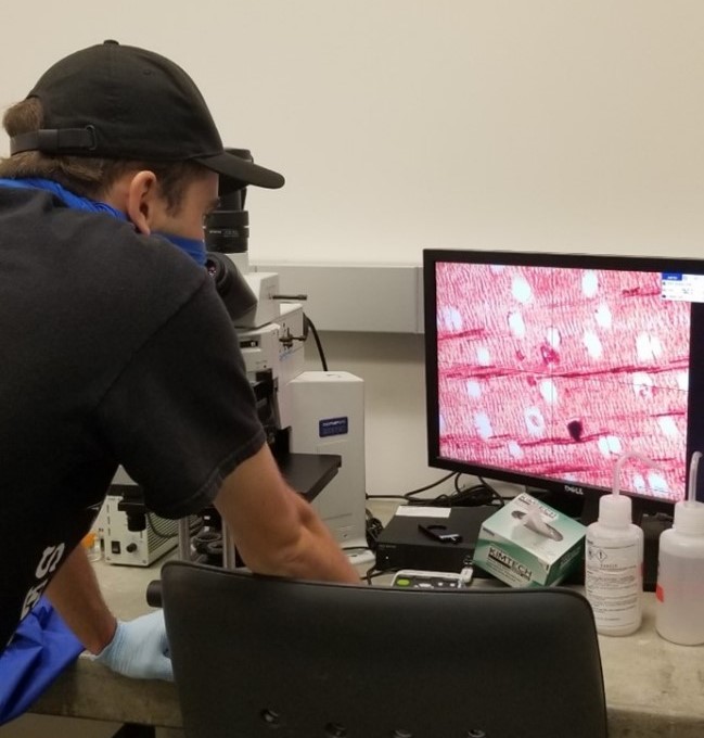 Assistan Brendan Hansen checking digitized cell sample in computer