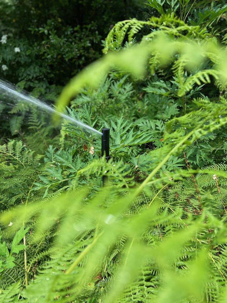 Sprinkler in the shrubs